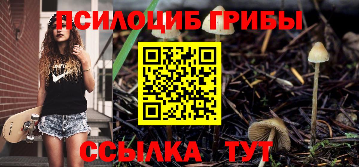 Псилоцибиновые грибы мицелий  Вход с VPN  Надым 