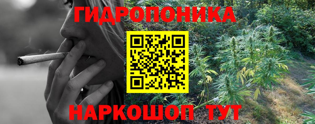 Бошки марихуана ГИДРОПОН  Конопля марихуана  Вход с VPN  Канабис тримм  Надым 